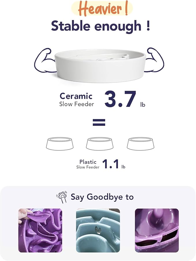 LE TAUCI Slow Feeder Dog Bowls Ceramic,3 Cups Slow Feeding Dog Bowl Medium Large Breed, Pet Bowl for Fast Eaters, Puzzle Pet Dishes, Angle White