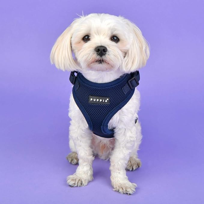 Puppia Authentic RiteFit Harness with Adjustable Neck Orange, Medium (Pack of 2)