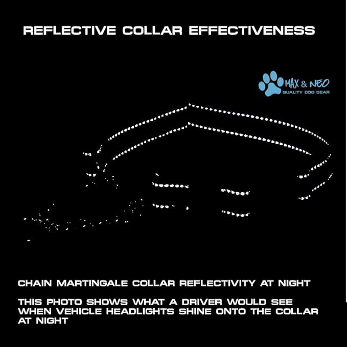 Max and Neo Stainless Steel Chain Martingale Collar - We Donate to a Dog Rescue for Every Collar Sold (Medium, Purple)