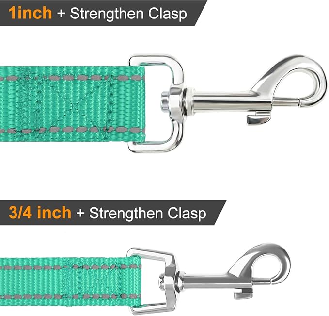Joytale Dog Leash Heavy Duty for Small Medium Dogs, 5 FT Reflective Nylon Pet Walking Lead with Soft Padded Handle, Durable & Tangle Free for Training, Running & Safety Control, Teal