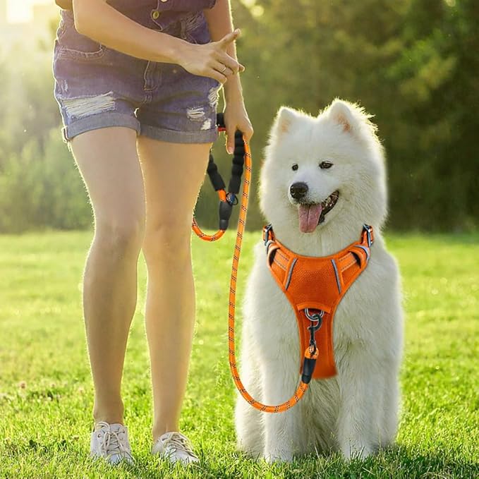BARKBAY Dog Harness No Pull Oxford with ID Tag Pocket - Heavy Duty, Reflective, Easy Control for Large Dogs(Pumpkin Oxford,S)