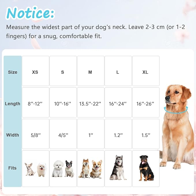 Cotton Collar for Dog竊똕oft Adjustable Dog Collars for Small Dogs, Cute Dog Collar with Blue & White Plaid for Small Medium Large Dogs, Perfect for Girl or Boy Dog Collars-S