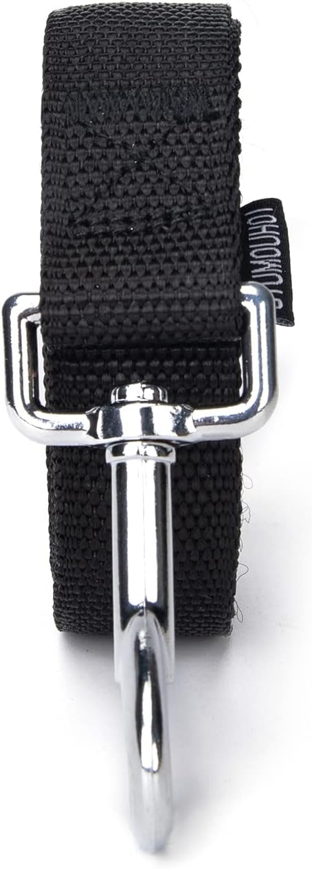 Strong Durable Nylon 10ft Long Dog Training Leash, Traction Rope, 1 Inch Wide, for Small and Medium Dog (Black, 10 Feet)
