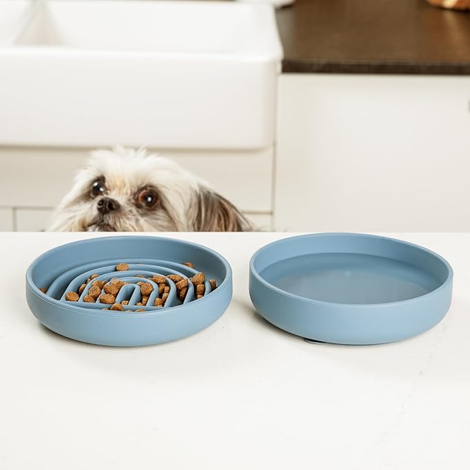 Should We Go? Slow Feeder for Dogs & Cats, The Slowdown Bowl Silicone Slow Eating Mealtime Solution with Modern Lick Mat Design, Reduces Gulping, Fits 1 Cup, 6” Across x 1.25” Tall, Small-Blush