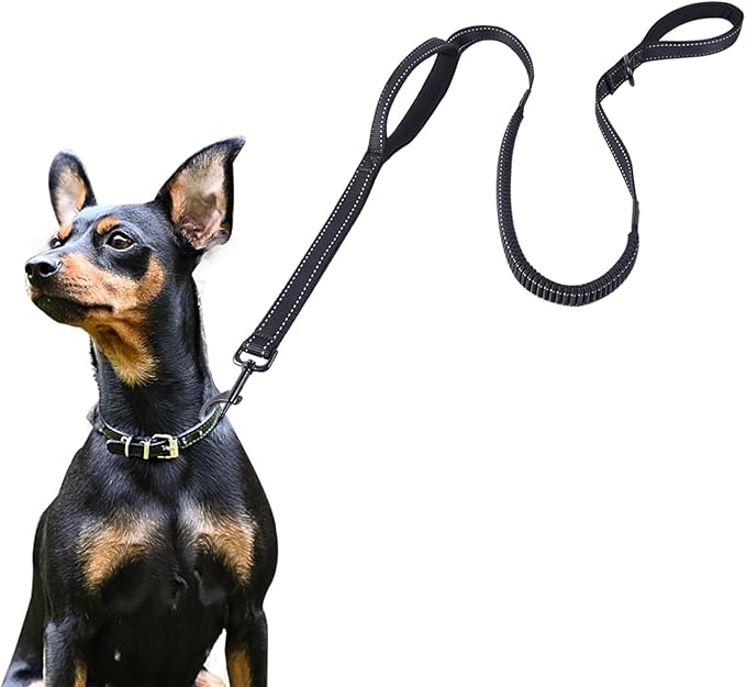 ECO-CLEAN 6 Ft Reflective Dog Training Leash, Shock Absorbing Retractable Strong Dog Leash for Medium Large Dogs