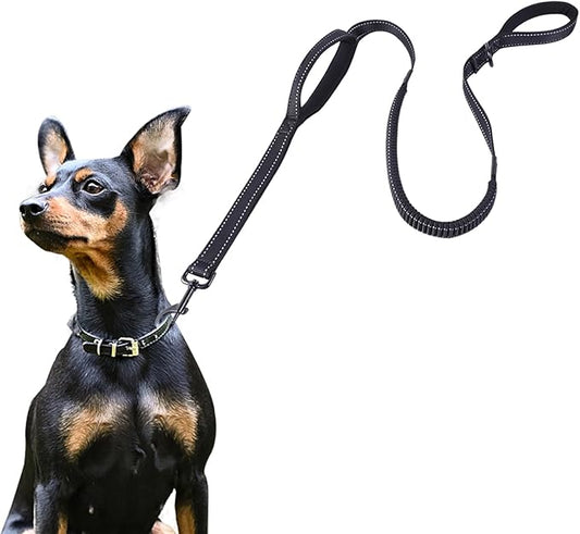 ECO-CLEAN 6 Ft Reflective Dog Training Leash, Shock Absorbing Retractable Strong Dog Leash for Medium Large Dogs