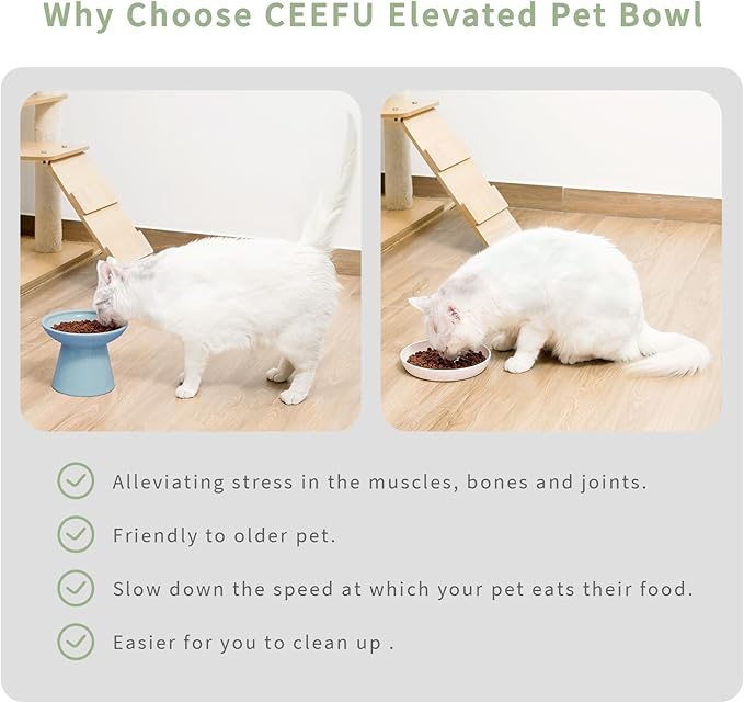 2 Elevated Ceramic Cat Bowls Extra Wide for Food & Water – Whisker Fatigue Shallow Food Dish, Lead & Cadmium-Free, Raised Height for Cats, Blue