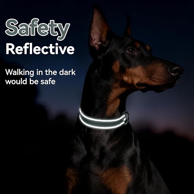 Soft Reflective Dog Collar for Extra Small Dogs, Lightweight Adjustable Puppy Collar with Neoprene Padding, Gentle Nylon for Chihuahua Yorkie,Grey,XS
