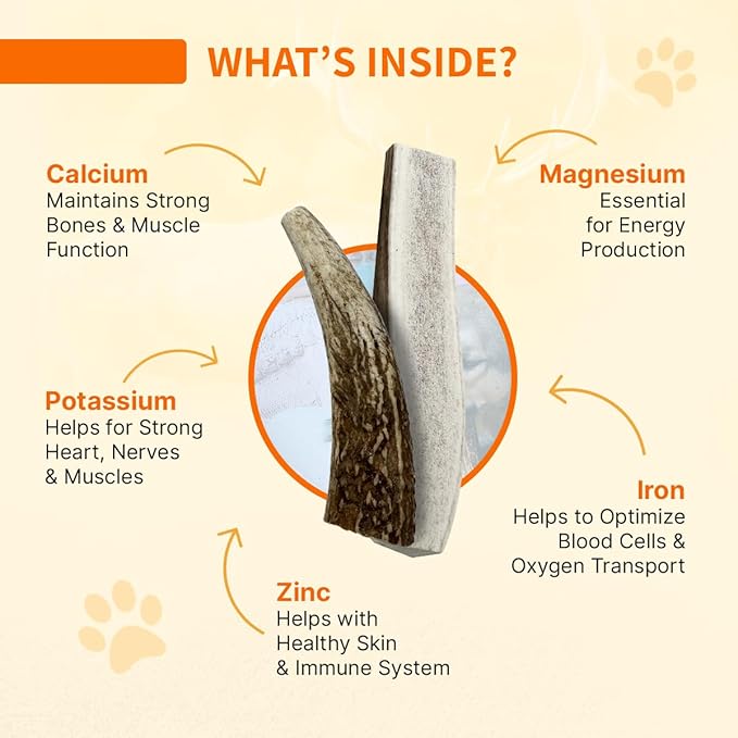Tibetan Dog Chew Antler
