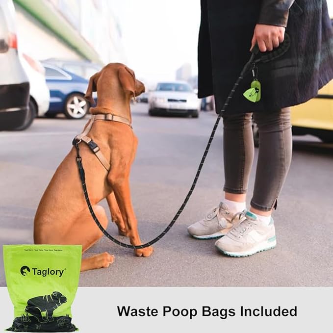 Taglory Rope Dog Leash 6FT with Comfortable Padded Handle, Highly Reflective Threads Leash for Small Dogs, 3/8 inch, Black