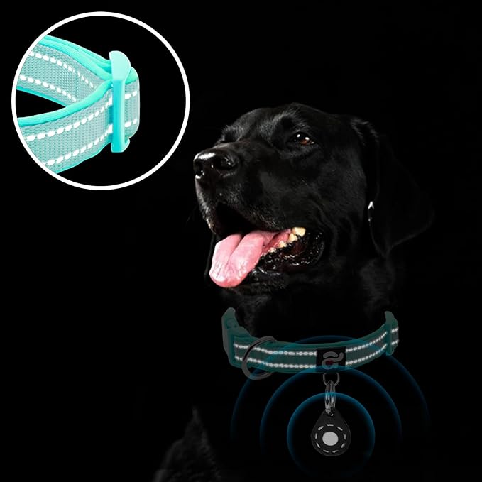 azuza Reflective Dog Collar with Airtag Holder, Soft Neoprene Padded Pet Collar with ID Tag Ring, Adjustable for Puppy and Small Dogs,Teal,XS