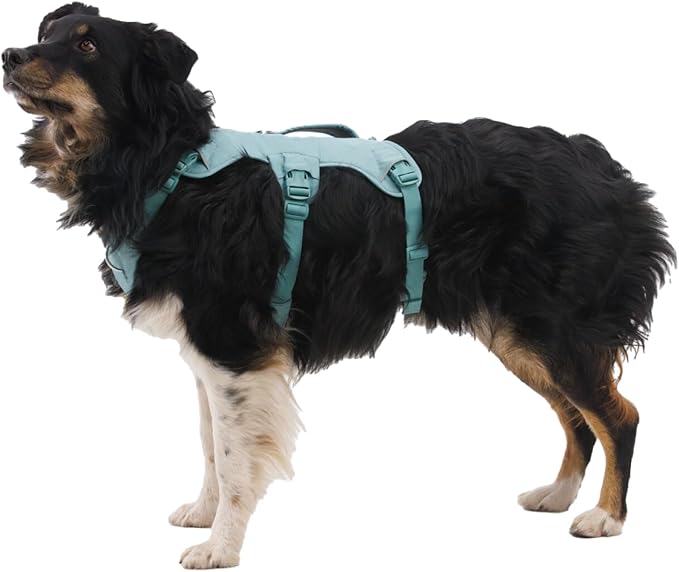 Ruffwear, Web Master, Multi-Use Support Dog Harness, Hiking and Trail Running, Service and Working, Everyday Wear, Basalt Gray, Medium
