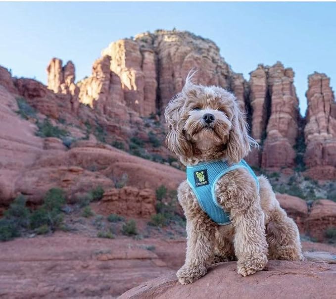 EcoBark Step in Dog Harness - Eco-Friendly Dog Harnesses for for Small & Medium Breed Dogs - Reflective and Adjustable Chest Body Halter Vest -Soft Luxurious Mesh (Baby Blue, XL)