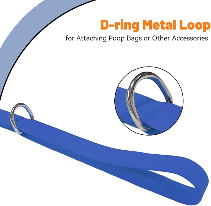Waterproof Dog Leash, 5/6 FT Durable Odor-Proof Dog Leashes with Strong Metal Hooks Fits Small Medium or Large Dogs (Blue, 6FT - 1 inch Width)