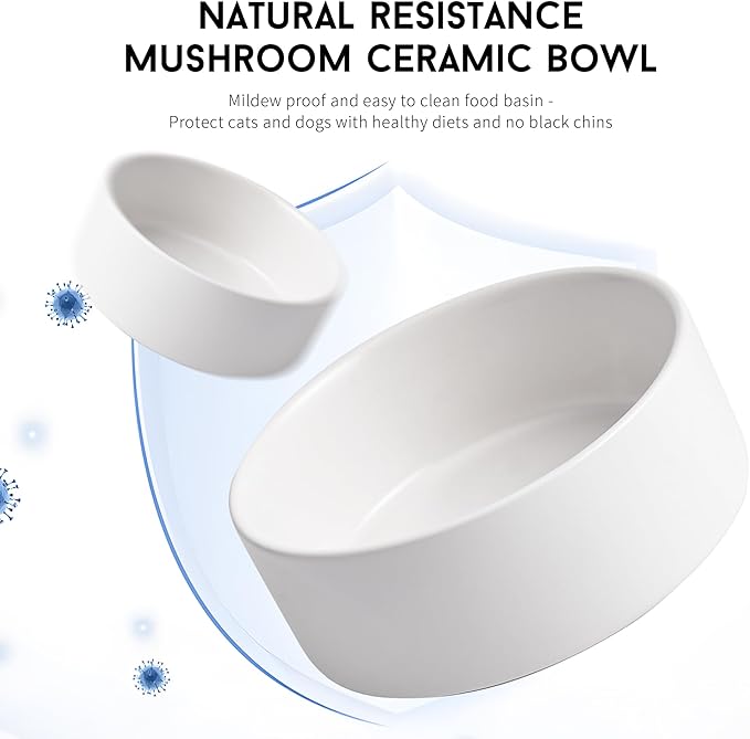 White Ceramic Dog & Cat Bowl Set – 13.5 OZ with Wooden Stand, Non-Slip, Elevated Design for Small Dogs & Cats – 2 Bowls (Food & Water, Ceramic Pet Bowls, Modern Dog Bowls)
