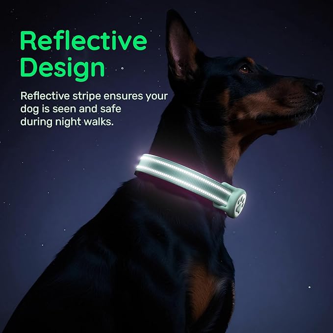 Apple Tag Holder Dog Collar, Reflective Ultra-Durable Nylon Padded with QR Code Buckle & IP68 Waterproof for AirTag Holder Compatible for Apple Tag, Comfortable for Small Medium Large Dogs(Green,M)