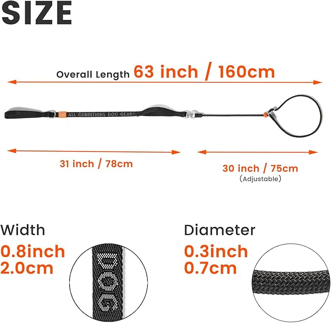 Slip Lead Dog Leash with Double Handles | Reflective Dog Training Lead with 360° Swivel Anti-Tangle | Heavy-Duty Leash and Collar for Large Medium and Small Dogs No-Pull Walking (Orange, 5.5FT)