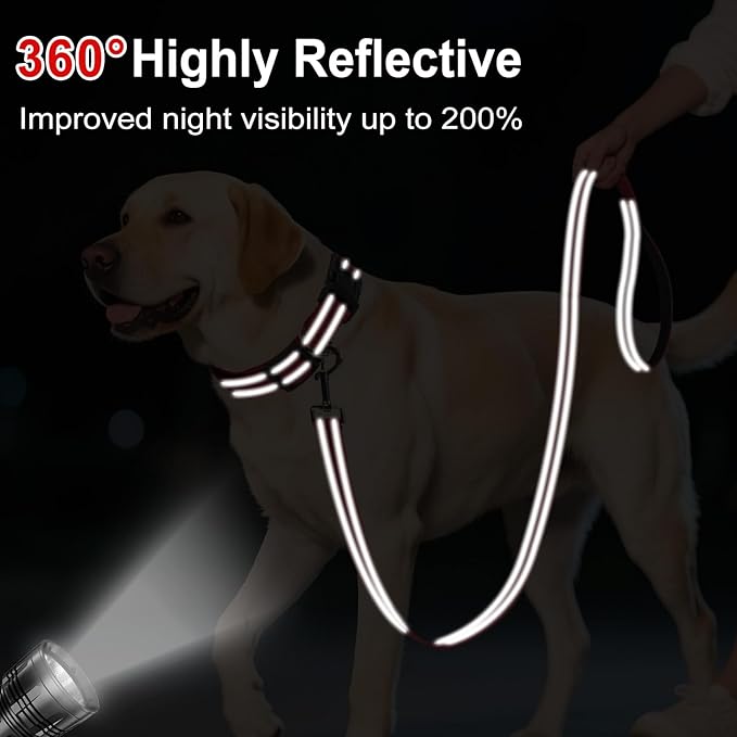 Reflective Dog Leash 6ft Soft Padded Handle Nylon Lead for Medium & Large Dogs, Durable Walking Training Leash for Night Safety (Red,1Inch Wide)