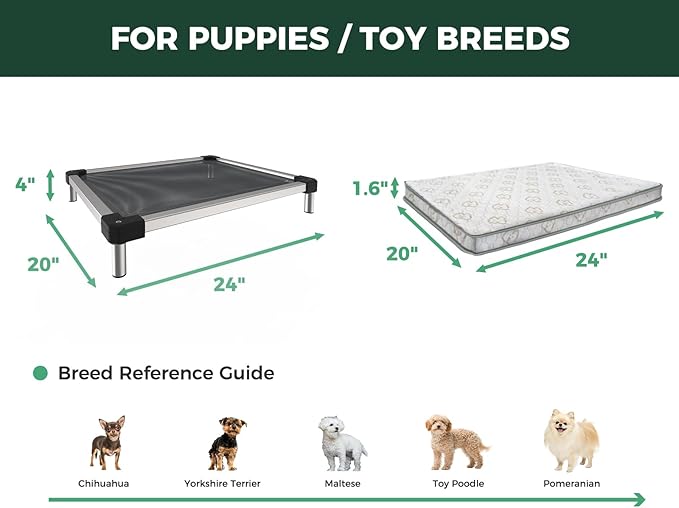 FXW TitanNest Chew-Proof Elevated Dog Bed, Raised Cot for Indoor/Outdoor/Camping Use, Durable & Waterproof Cooling Pet Bed with Exclusive Cover for Toy Dogs, 24.0" L x 20.0" W x 4.1" H, Black