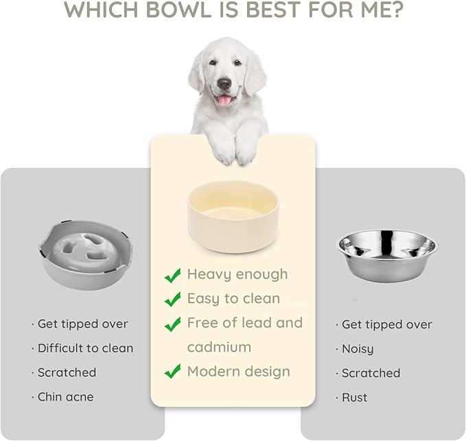 SPUNKYJUNKY 28.7OZ Ceramic Dog and Cat Bowl, Modern Cute Weighted Food Water Bowl for Replacement Beige (2 Pack)