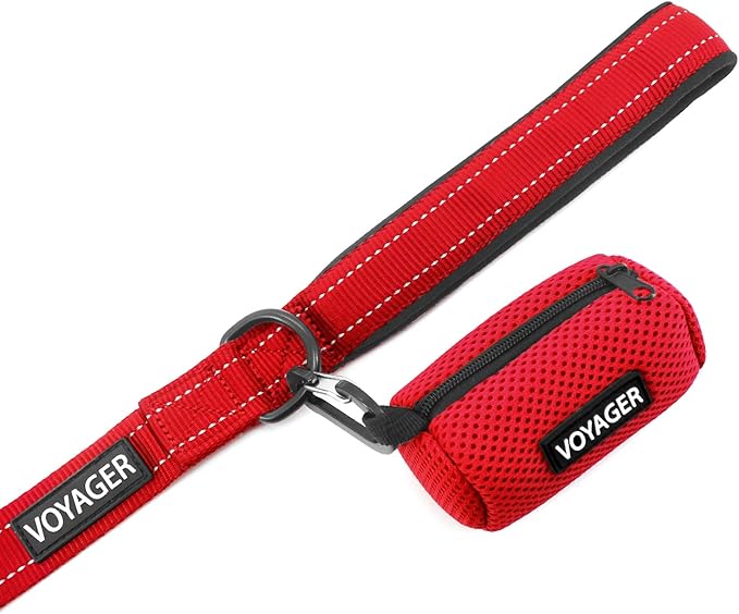 Best Pet Supplies Voyager Reflective Dog Leash or Collar with Neoprene Handle, for Small, Medium, and Large Breed Puppies, Cute and Heavy Duty for Walking, Running and Training - Red (Leash), S