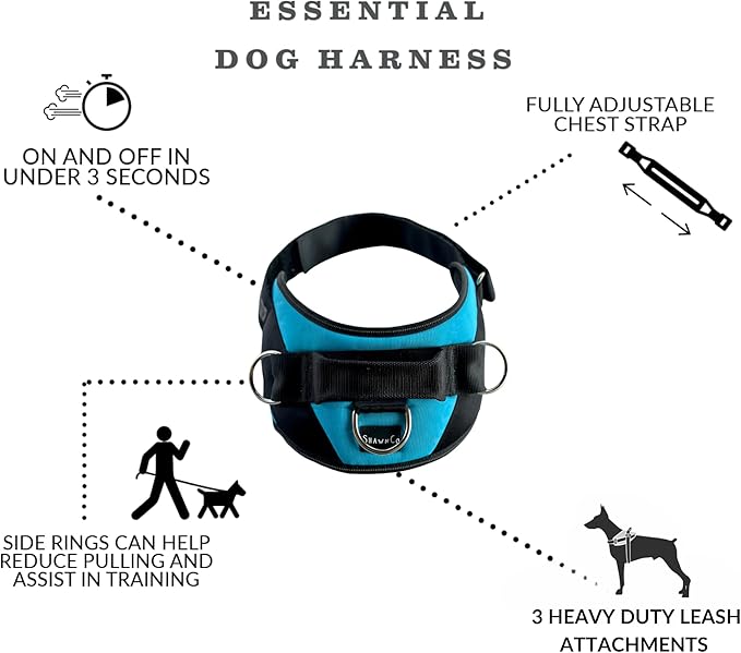 ShawnCo Essential Dog Harness, No-Pull Pet Vest with 3 Leash Clips, No Choke, Reflective, Adjustable and Padded, for Easy Walking and Training for Small, Medium and Large Dogs (Sunset Orange, XS)