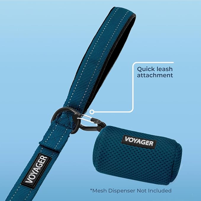 Best Pet Supplies Voyager Reflective Dog Leash or Collar with Neoprene Handle, for Small, Medium, and Large Breed Puppies, Cute and Heavy Duty for Walking, Running and Training - Blue Leash, L