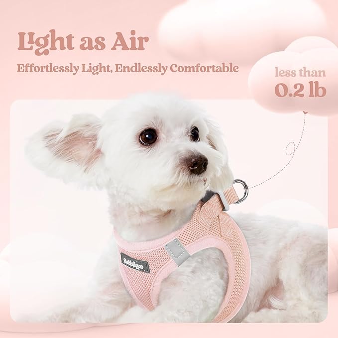 rabbitgoo Dog Harness Small Sized and Leash Set, Step in Soft Light Puppy Vest, Breathable Mesh Pet Harness, Reflective for Outdoor Safe Walking, Pink XXXS