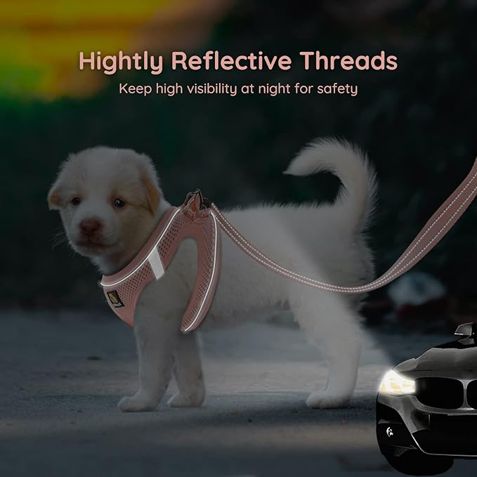 BELLA & PAL Dog Harness for Small Dogs, Medium, Coral Pink, Animal Harness with Leash Set, No Pull, Step in Design, Reflective Strip, Lightweight Mesh, Harness for Extra Small Dogs