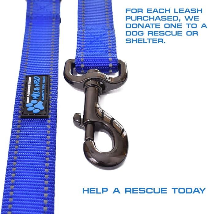 Max and Neo Small Dog Leash - Reflective Nylon, Donates to Dog Rescue (Teal, 4x5/8)