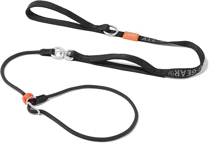 Slip Lead Dog Leash with Double Handles | Reflective Dog Training Leash with 360° Swivel Anti-Tangle | Heavy-Duty Leash and Collar for Large Medium and Small Dogs No-Pull Walking (Black, 5.5FT)