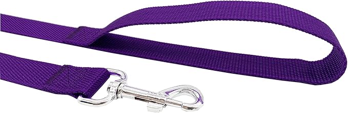 Nylon Dog Training Leash, Traction Rope, 4Ft /5 Foot /6 Feet Long, 5/8 inch 3/4 Inch 1 Inch Wide, for Small and Medium Dogs