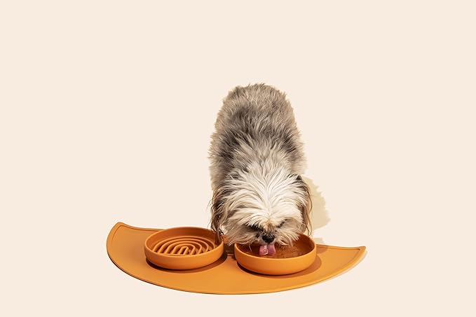 Should We Go? Dog Water Bowl - The Perfect Dish No-Spill, Less Mess Non-Tippable Water & Food Bowl, Pure Silicone with Suction Cup, Fits 2 Cups 6” Across x 1.25” Tall, Ideal for All Pets, Small-Blush