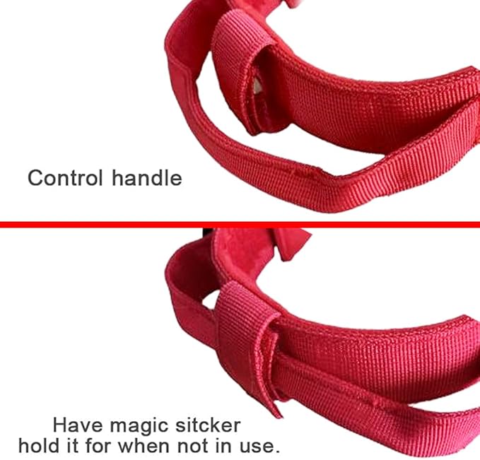 Xqpetlihai Tactical Dog Collar Adjustable Military Nylon Dog Collar with Control Handle and Heavy Duty Metal Buckle for Medium and Large Dogs (Red,XL)