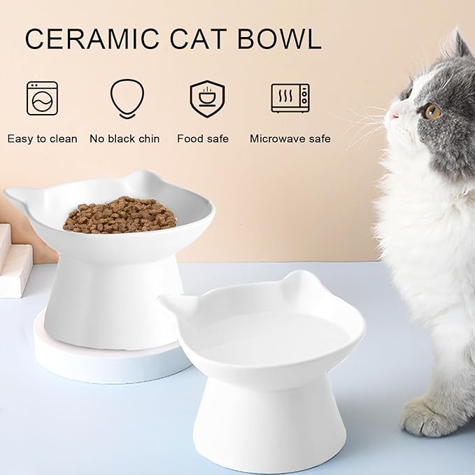 Ceramic Elevated Cat Bowl, Raised Cat Food Water Bowl for Indoor Cats with Stand, Titled Anti-Vomiting Cat Dish，Whisker Friendly, All Life Stage