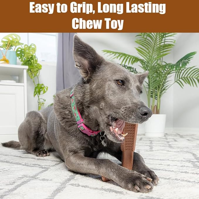 SPOT Bam-Bones Plus T Bone – Bamboo Fiber & Nylon Dog Chew Toy for Moderate to Aggressive Chewers, Durable Long Lasting & Non-Splintering, Beef Flavor Toy for Adult Dogs & Puppies Under 60 lbs, 6 in