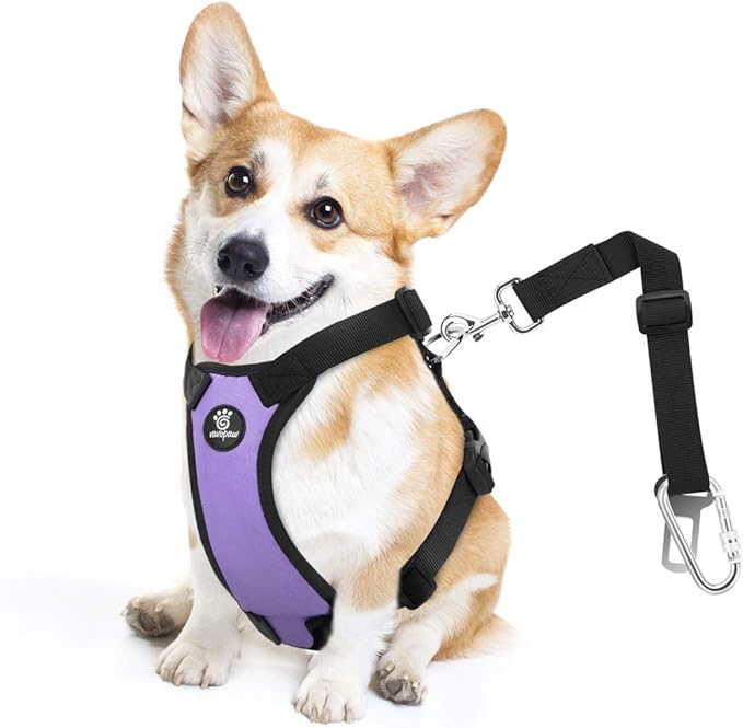 Dog Seat Belt, Safety Vest Dog Car Harness with Adjustable Buckle Dog Seat Belt for Vehicle Nylon Pet Safety Seat Belts Heavy Duty(M, Purple)