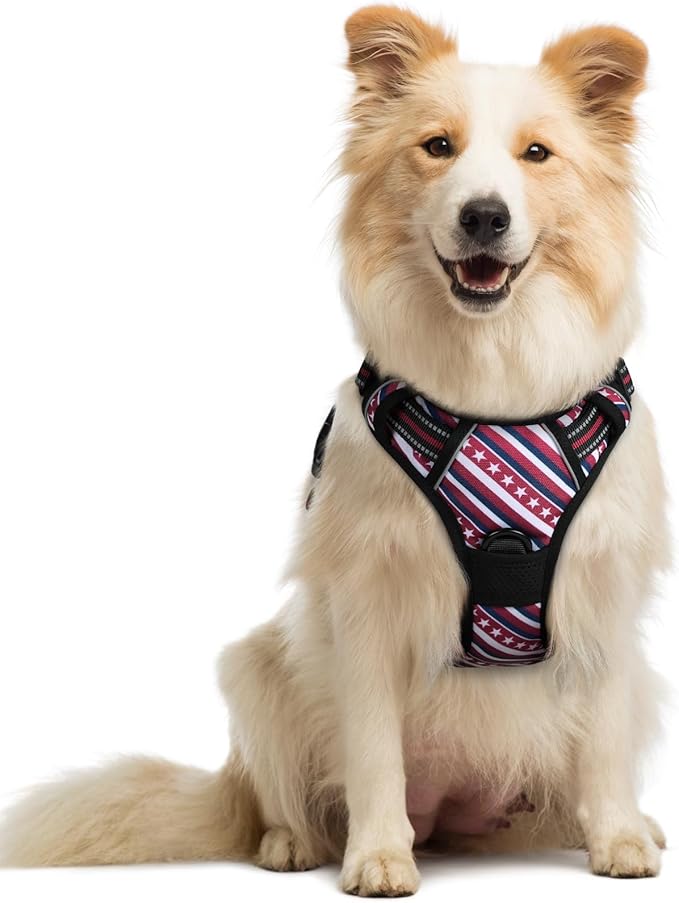 rabbitgoo Dog Harness No Pull with 2 Leash Clips, Adjustable Soft Padded, Reflective Oxford No Choke Pet Vest with Easy Control Handle for Large Dogs, Red Stripe, M