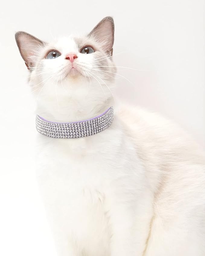 Dog Collar for Small Dogs, Adjustable Leather Suede Bling Dog Collars，Purple Dog Collar Cat Collar, Rhinestone Dog Collar.