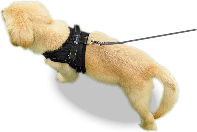 No Pull Reflective Adjustable Dog Harness With Handle- Comfortable Soft All Weather Mesh, Easy On Puppy Harness For Small Medium and Large Dogs (Black) Large