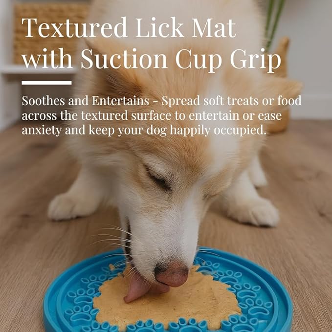 Slow Feeder Dog Bowls with Premium Accessories | Slow Feeder Insert & Silicone Lick Mat Lid - Heavy Duty, Stainless Steel Dog Bowl | Non-Slip & Durable, 64 oz | Medium to Large Dogs (Eli Blue)