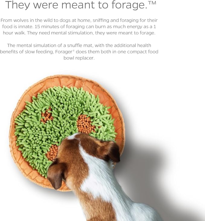 Pet Parents Forager Slow Feeder Bowls with SoftSnout & Non-Slip Backing, Dog Puzzle Toys & Snuffle Mat (Meadow Natural)