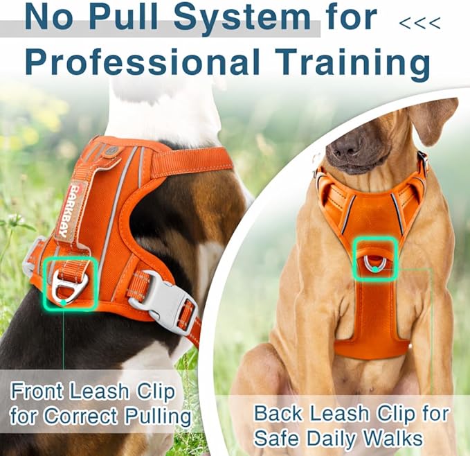 BARKBAY Dog Harness No Pull Oxford with ID Tag Pocket - Heavy Duty, Reflective, Easy Control for Large Dogs(Pumpkin Oxford,S)