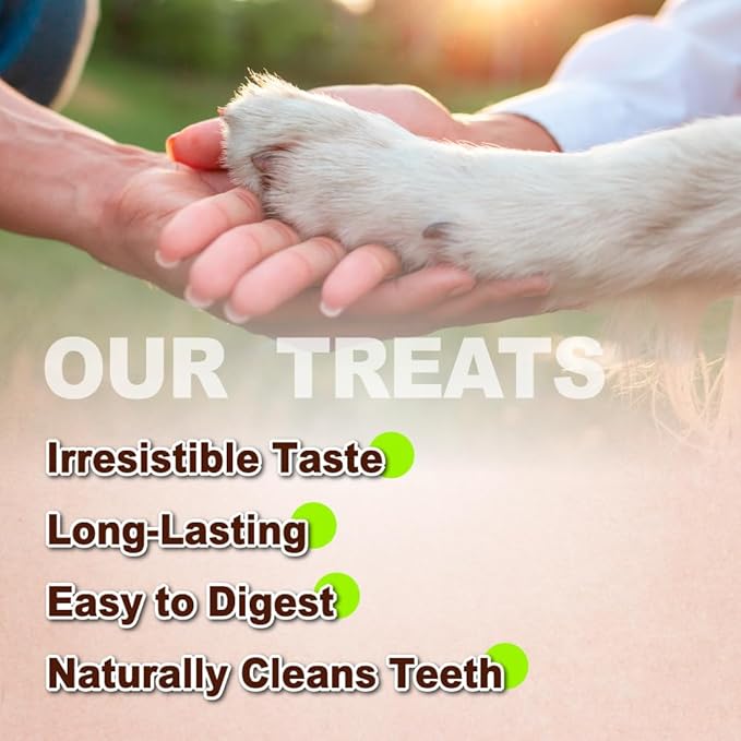 A Freschi srl Turkey Tendon of Dog Bones Shape, USA-Sourced, Limited-Ingredient, Rawhide-Free, Long-Lasting, All-Natural Dog Treats for Medium Dogs, 3 Count Pack (M)