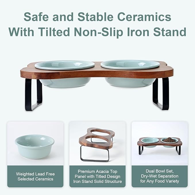 SPUNKYJUNKY Ceramic Elevated Tilted Dog Bowls Bone-Shaped Raised with 2 Height Iron Stand, 5.9'' Dog and Cat Food Water Bowls Set Non-Slip for Small Sized Breed - 13.5 OZ,Light Green