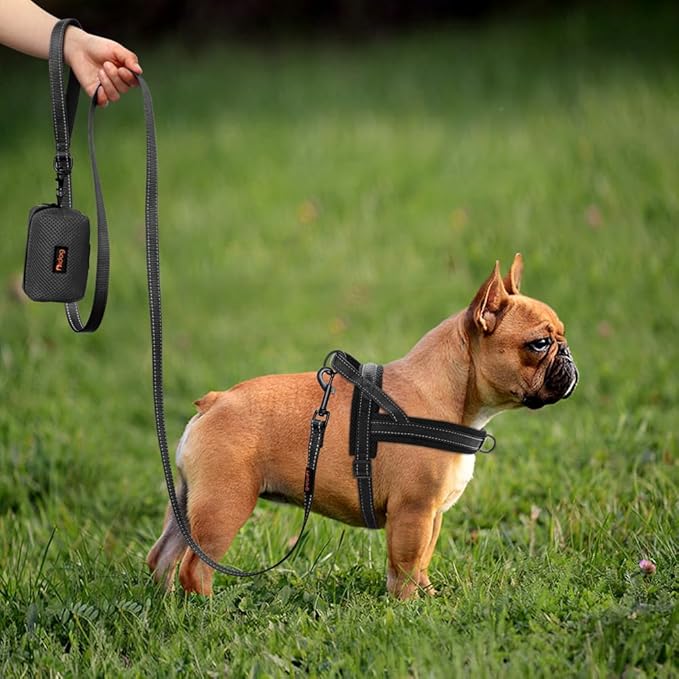 Didog No Pull Dog Harness with Soft Mesh Padded,Reflective & Quick Fit Light Weight Dog Strap Vest Harness,Easy for Walking Training (S:Chest 18-22", Mesh-Black)