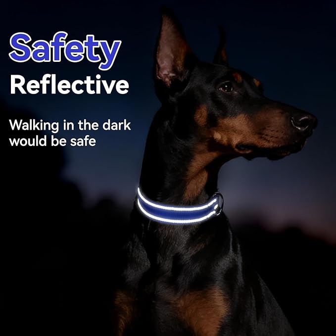 Reflective Dog Collar for Mediunm Dogs, Adjustable Collar with Soft Neoprene Padded, Durable Buckle for Daily Walking,Navy Blue,M, 3/4" Width