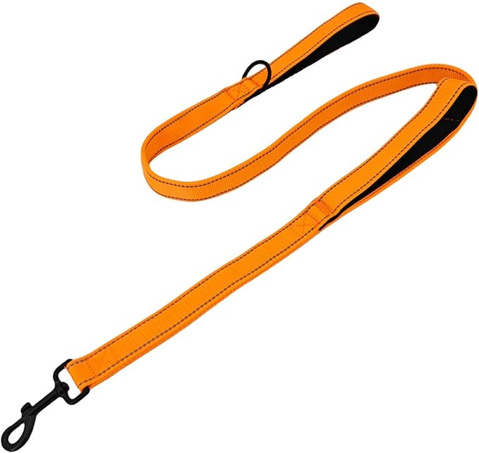 Solmoony 4FT Orange Strong Dog Leash with 2 Padded Handles, Traffic Handle Extra Control, Double-Sided Reflective Walking Lead for Small Medium and Large Dogs(Orange, 4FT)