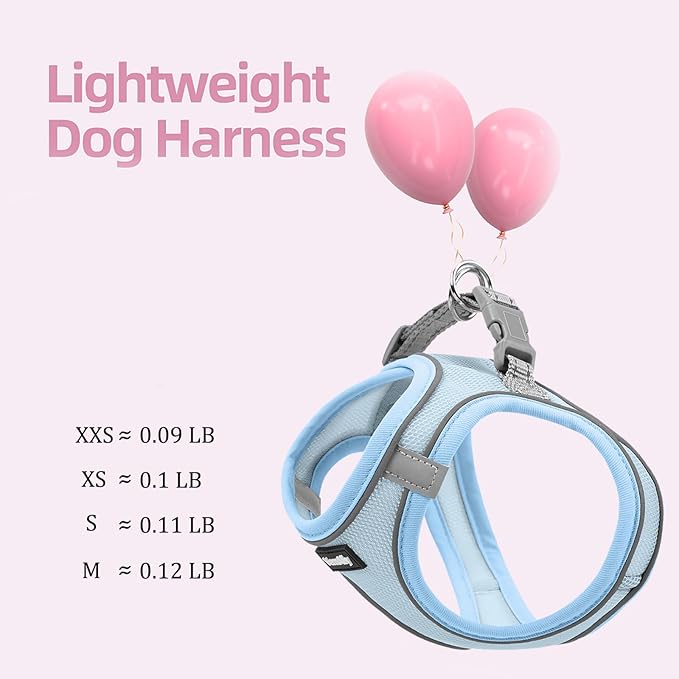 Sparkly Dog Harness Small Sized and Leash Set for Small Dogs Cats,Blue XXS Puppy Harness, Step in Soft Dog Reflective Vest, Breathable Mesh Pet Harness. (Blue, XXS)
