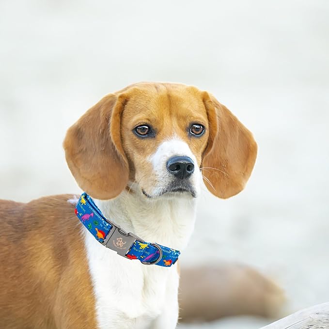 Elegant little tail Dog Collar, Blue Dinosaurs Pattern Pet Collar Durable Cute Dog Collars Male or Female Pet Gift Adjustable Dog Collar for X-Large Dogs